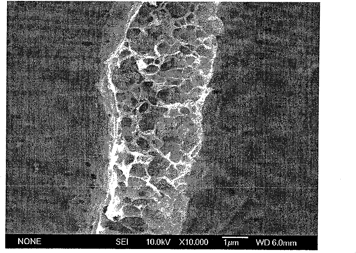 Method for preparing polyaniline and nano-fibre blend composite film