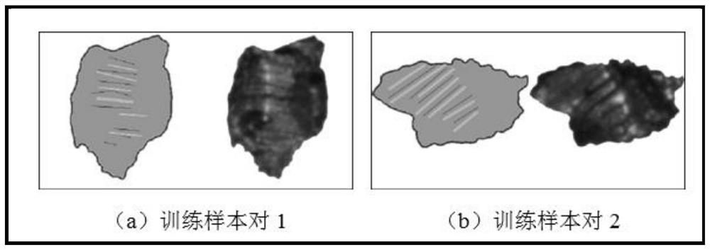 A Method of Creating Wear Particle Morphology Database Based on Conditional Generative Adversarial Network