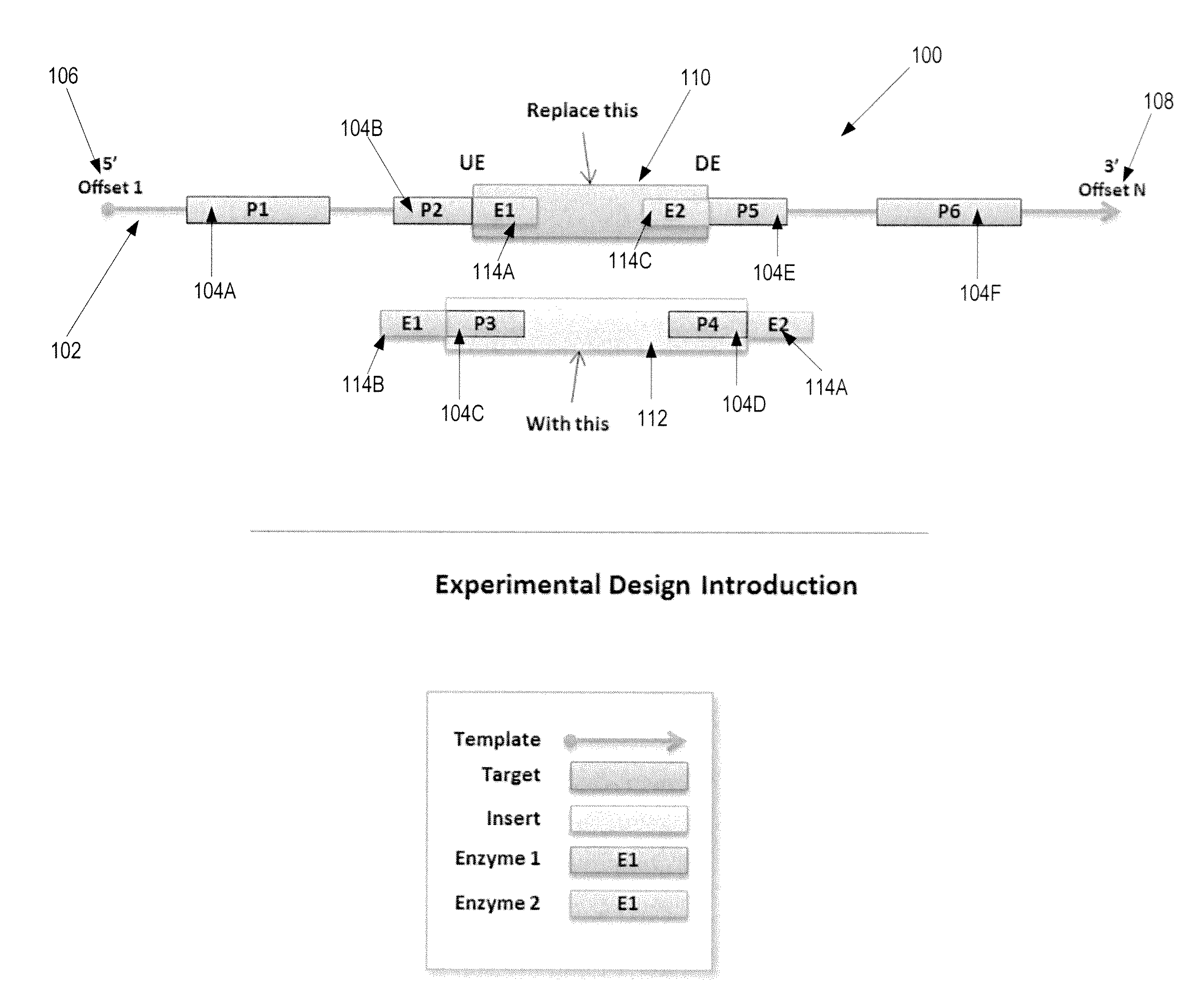 Automated Experimental Design For Polymerase Chain Reaction