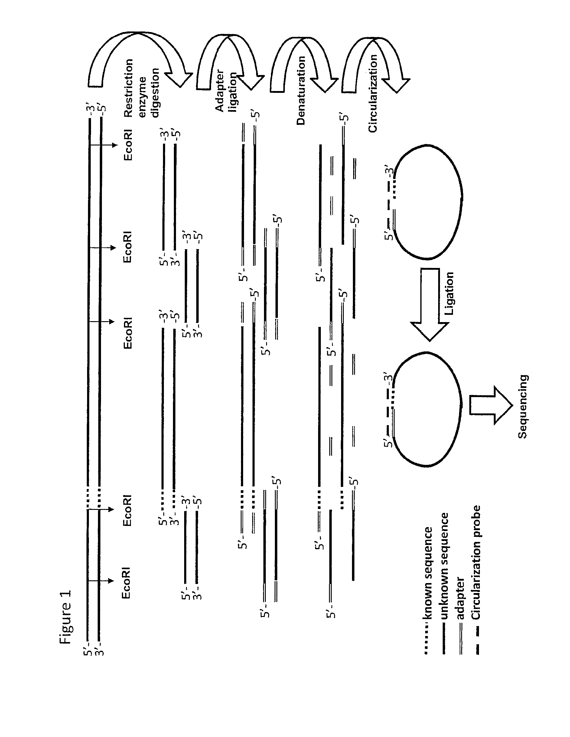Method for targeted sequencing