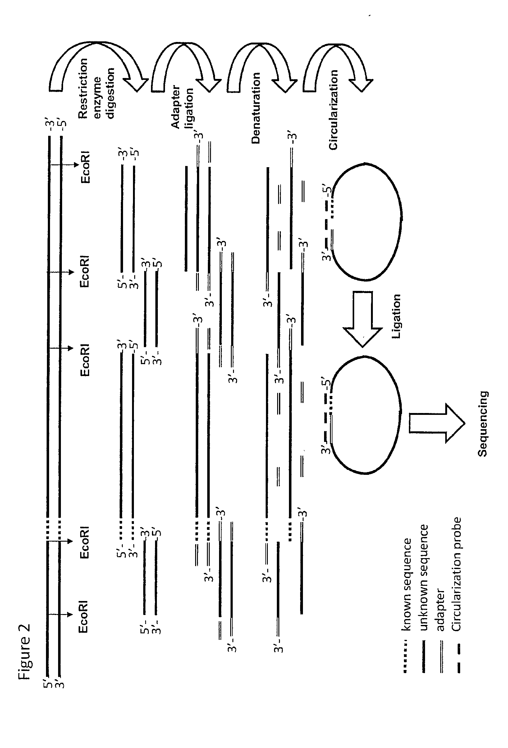 Method for targeted sequencing