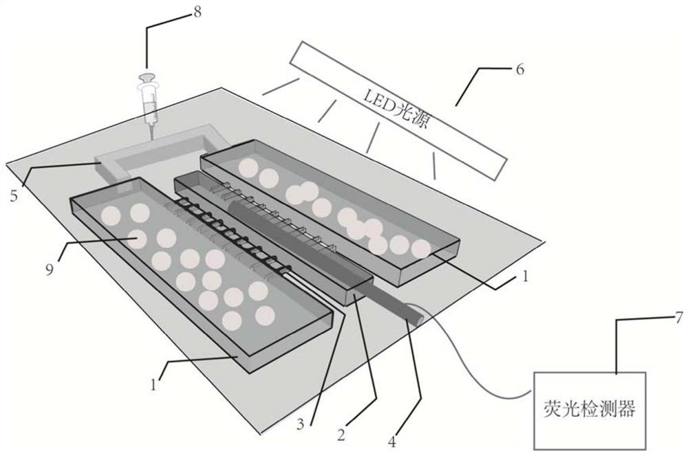 Biochemical oxygen demand microfluidic detection equipment and method based on bacterial microcapsules