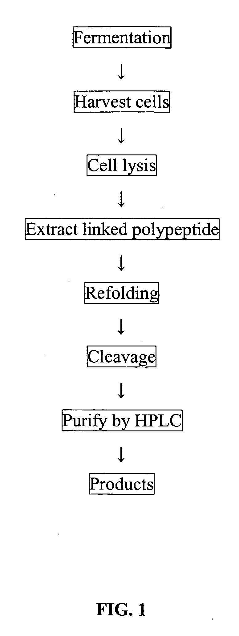 Exendin 4 polypeptide fragment