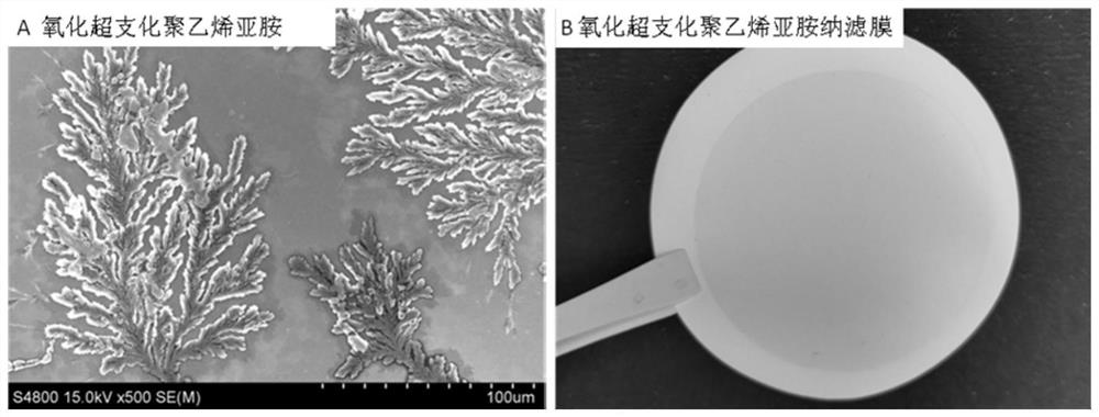 Oxidized hyperbranched polyethyleneimine nanofiltration membrane, preparation method and application
