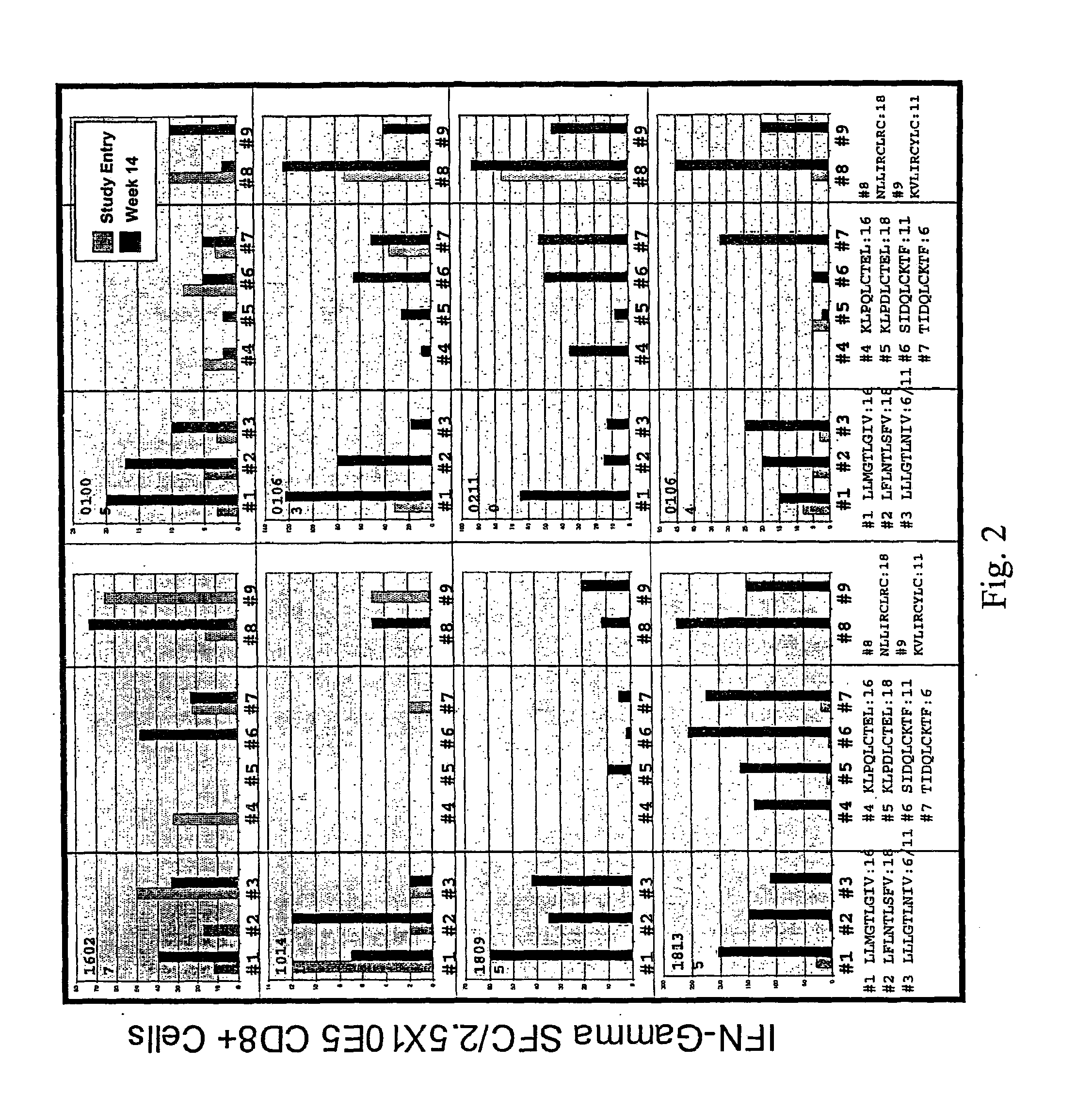 Compositions and methods for treating human papillomavirus-mediated disease