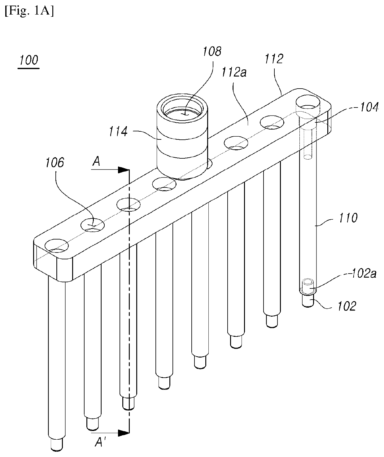 Modules for transferring magnetic beads, automated system comprising the same and method for nucleic acid extraction using the same