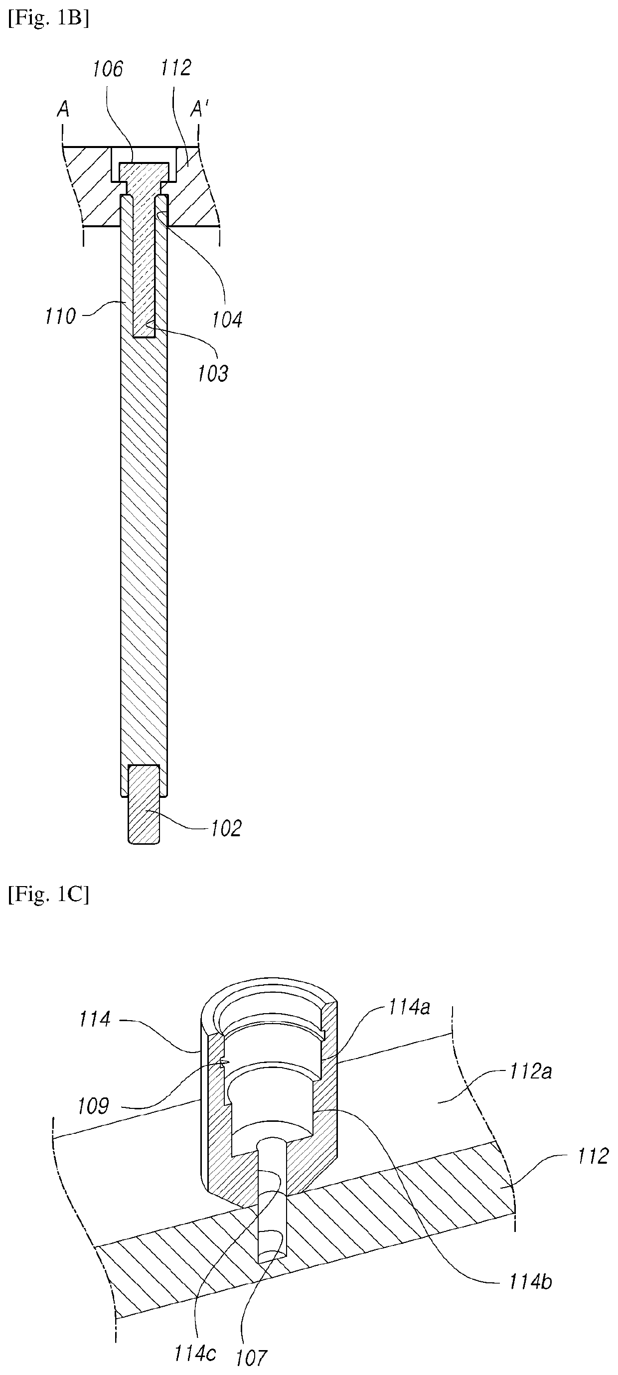 Modules for transferring magnetic beads, automated system comprising the same and method for nucleic acid extraction using the same