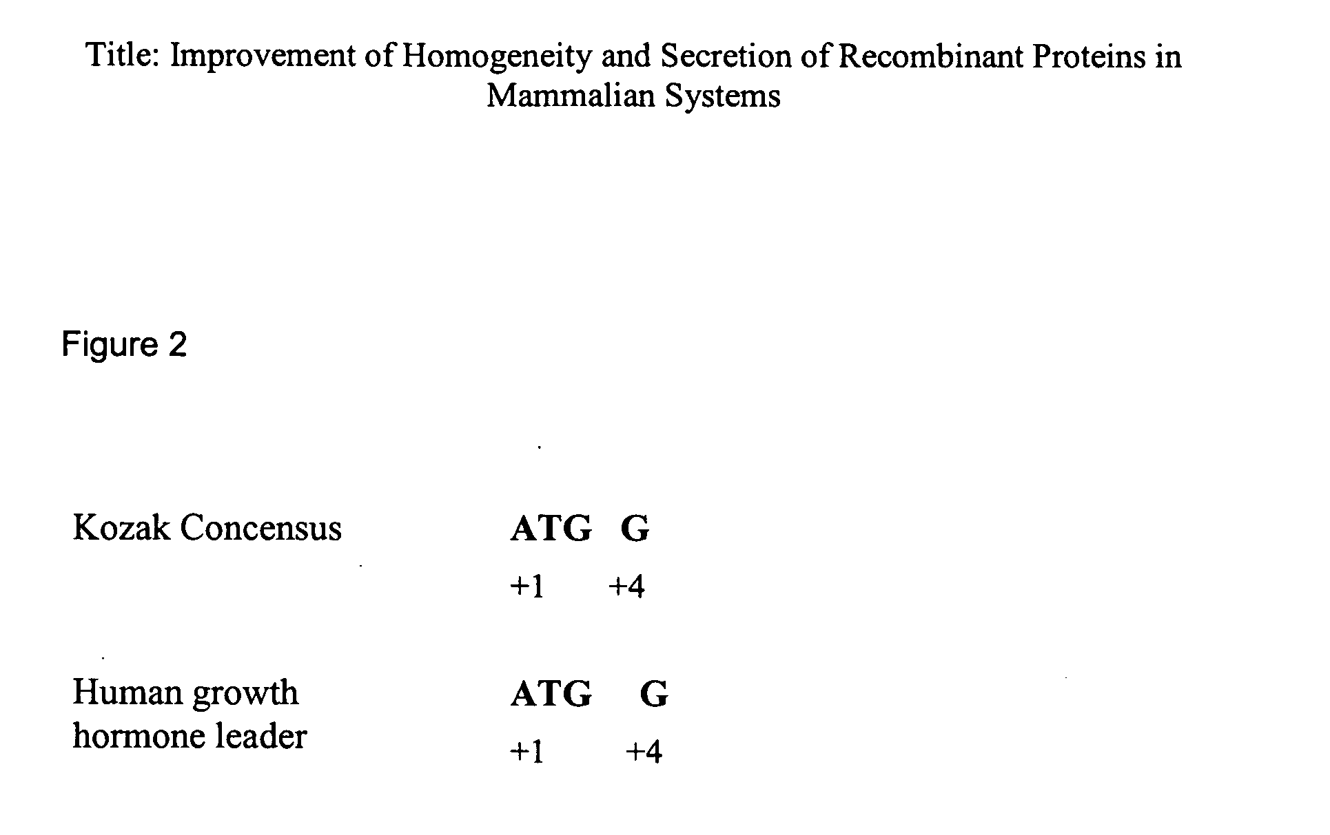 Homogeneity and secretion of recombinant proteins in mammalian systems