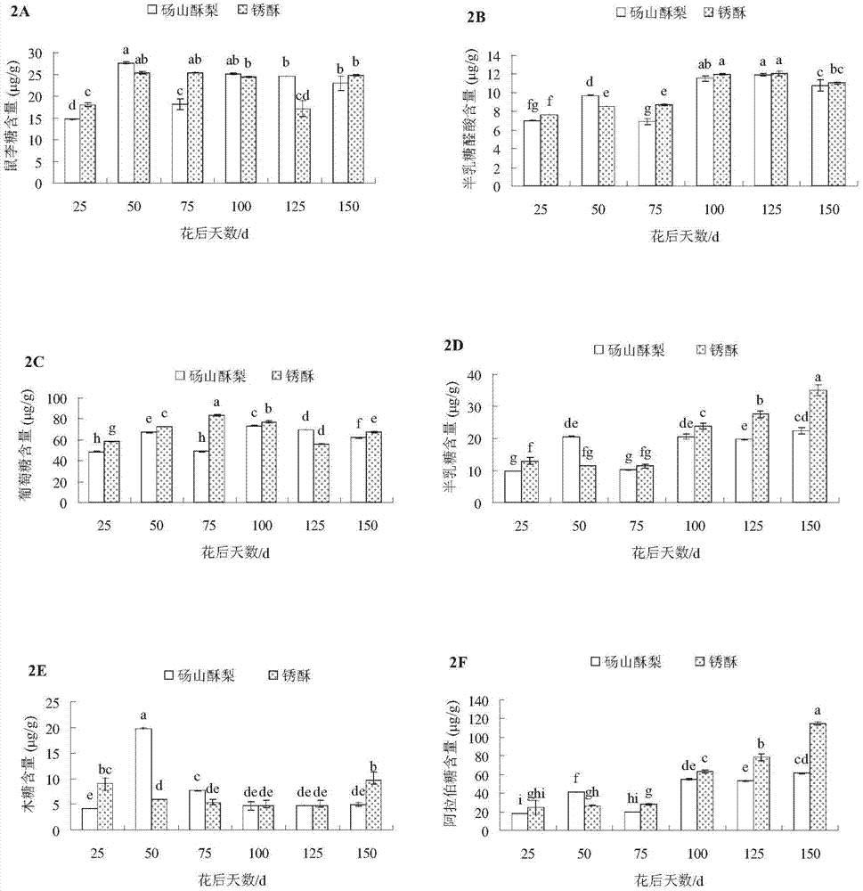 Method for testing content of monosaccharide in polysaccharide in pear peel tissue