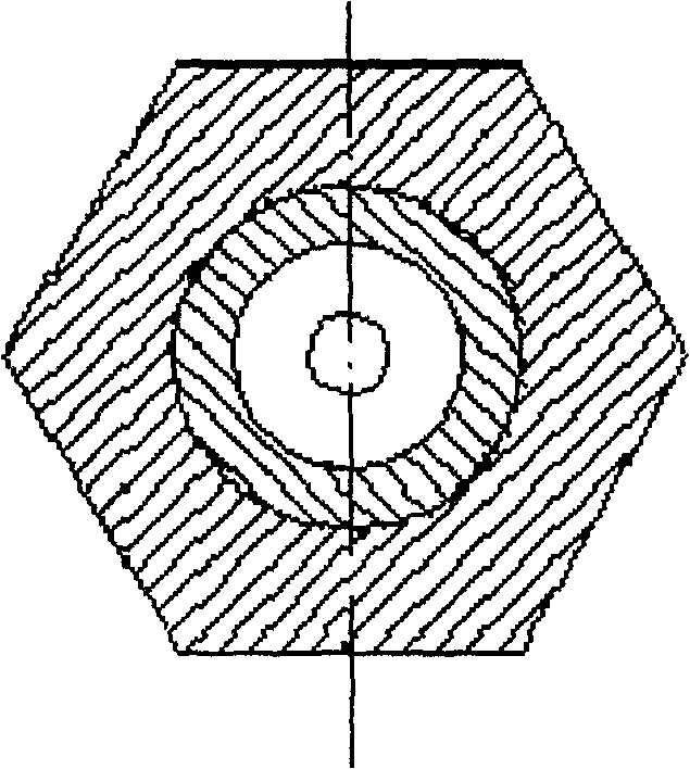 Method for prodn. of dripping pills of andrographolide