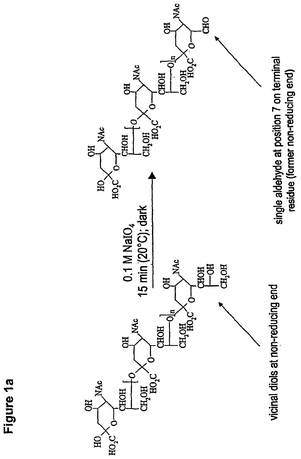 Glycopolysialylation of blinatumomab