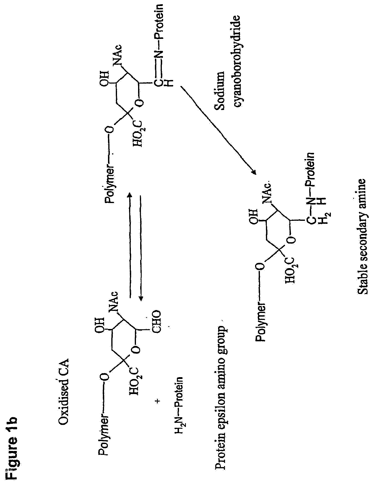 Glycopolysialylation of blinatumomab