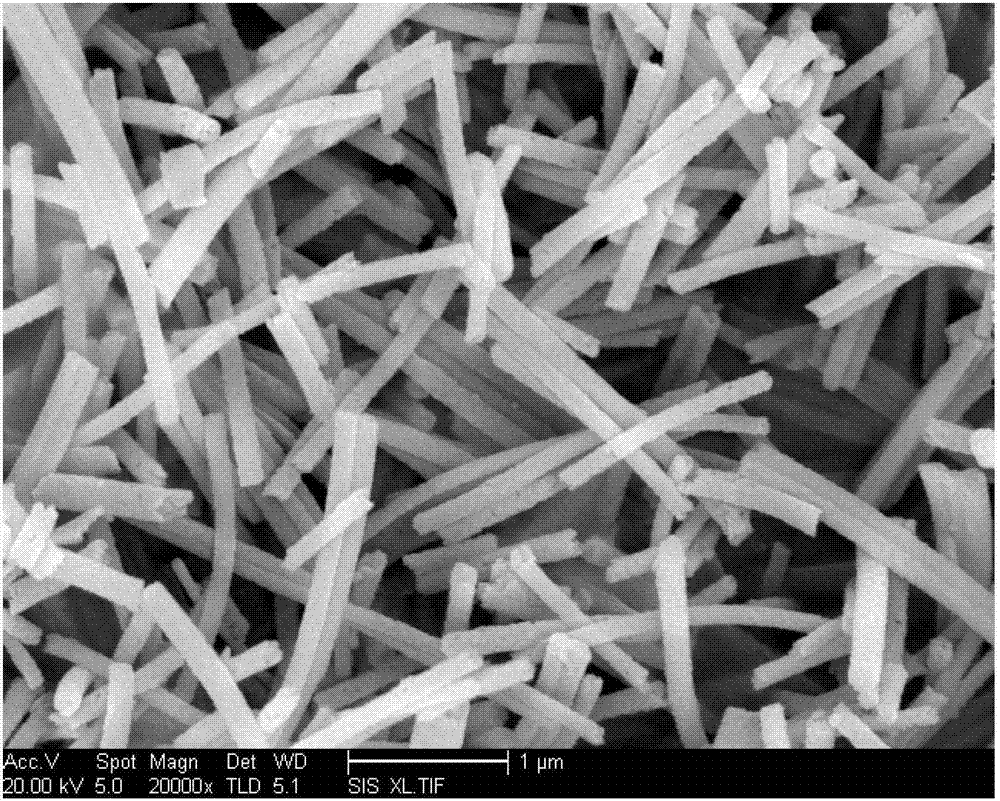 One-dimensional nano fibrous lanthanum strontium titanate (LST) anode material, preparation method thereof, composite anode utilizing anode material and preparation method of composite anode