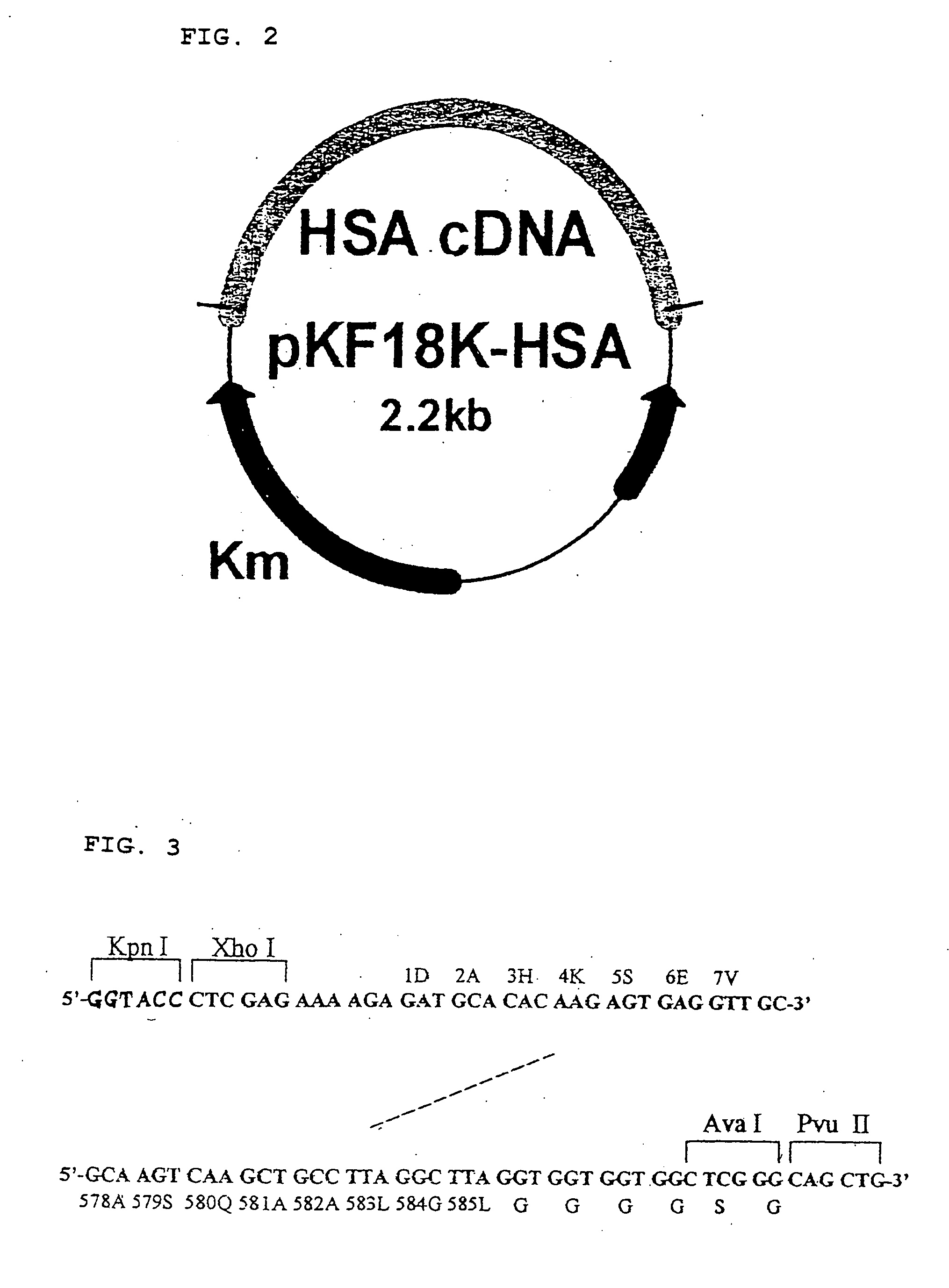 Recombinant protein containing serum albumin multimer