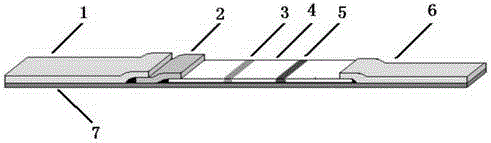 A kind of immunochromatographic test strip quantitative detection instrument and detection method