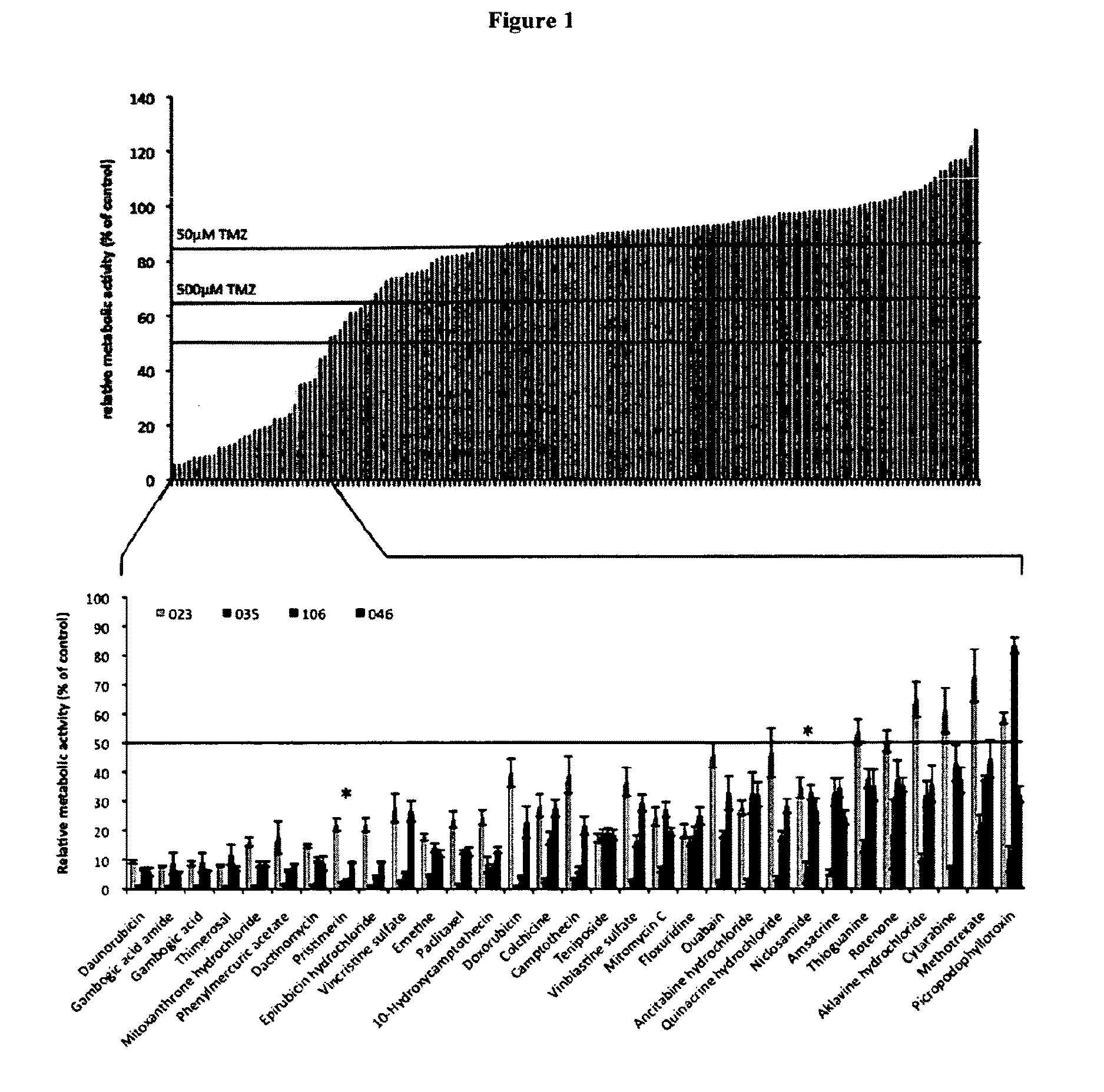 Glioblastoma inhibiting compounds and their use