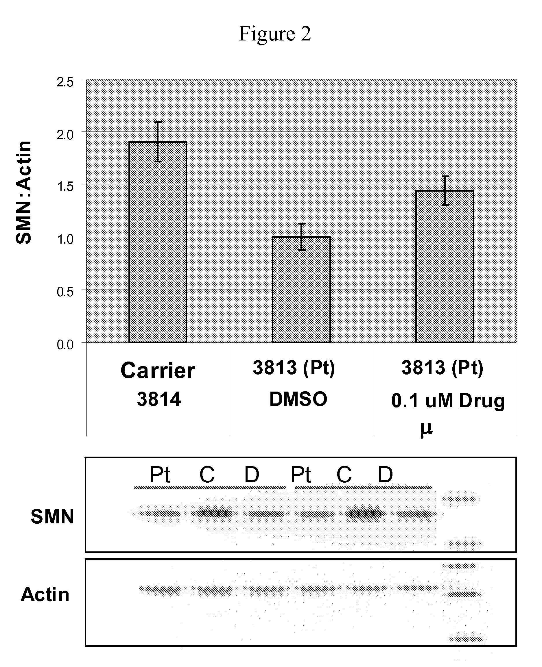 Isoindoline compounds for the treatment of spinal muscular atrophy and other uses