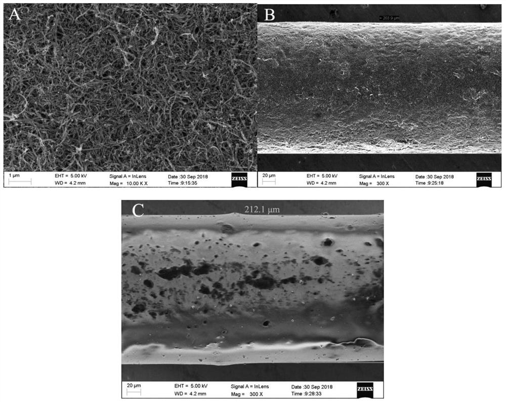 A kind of solid-phase microextraction probe and its preparation method and application