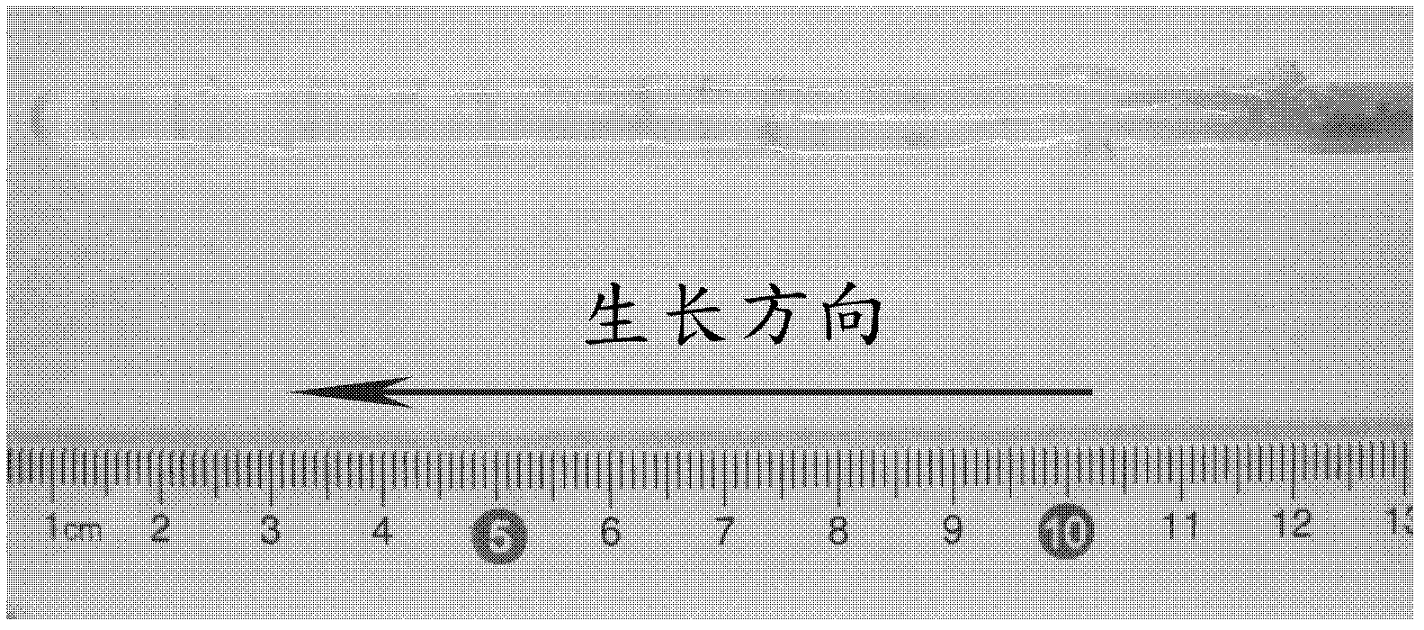 Method for growing large size Ta2O5 single crystal by using floating zone method