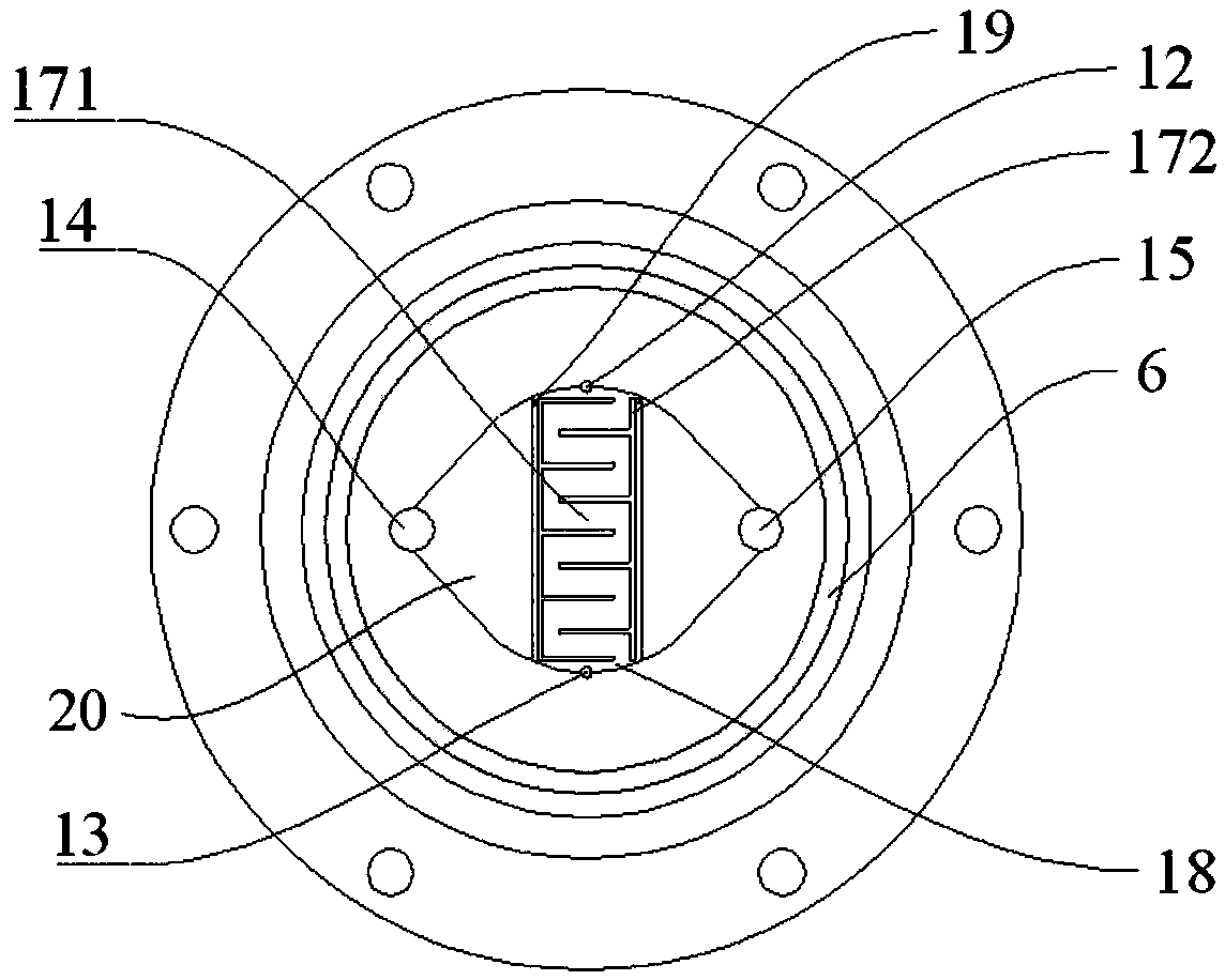Electrically enhanced gas-liquid phase chemiluminescence detection device and detection method