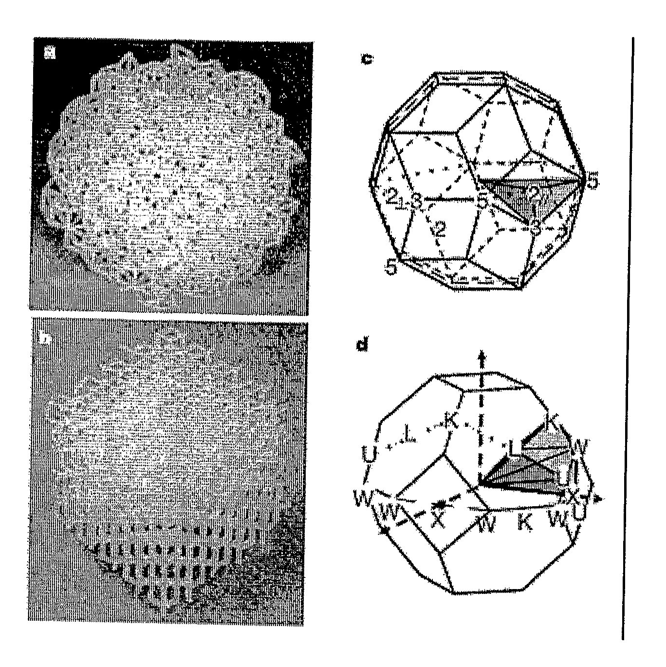 Quasicrystalline structures and uses thereof