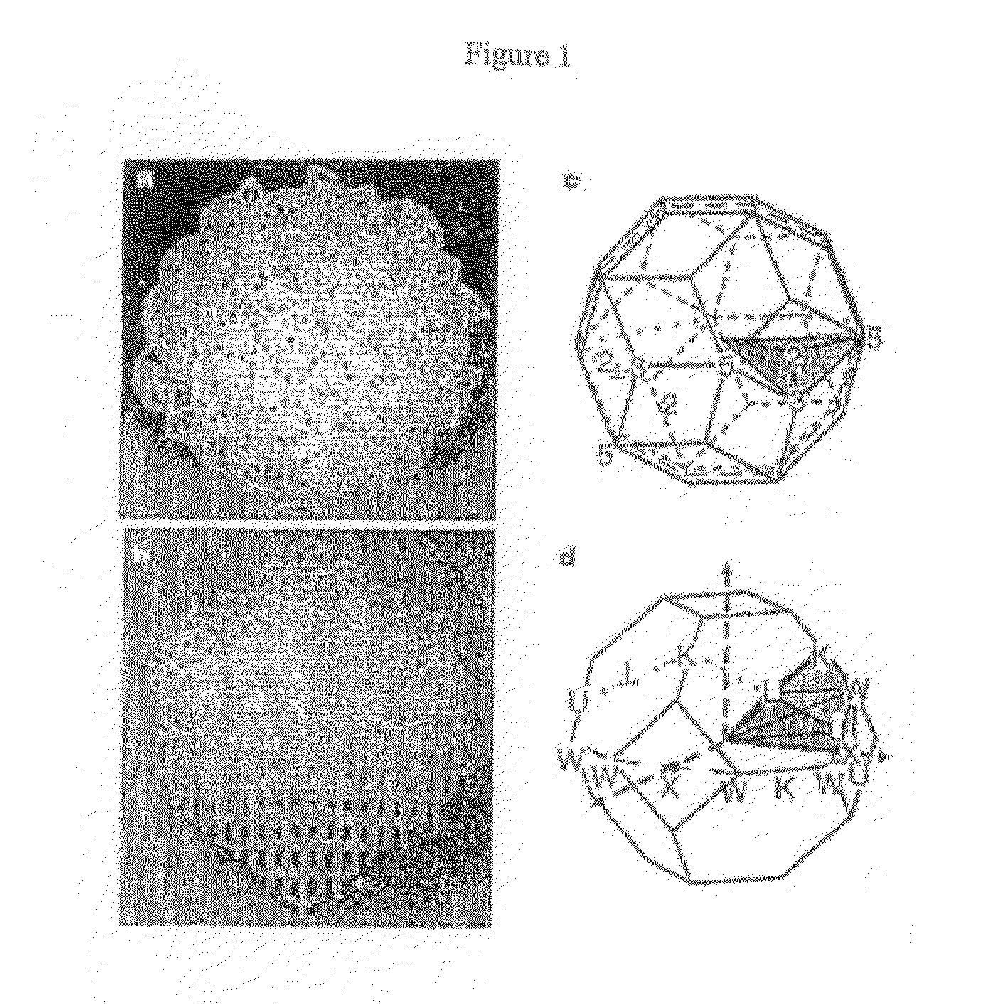 Quasicrystalline structures and uses thereof