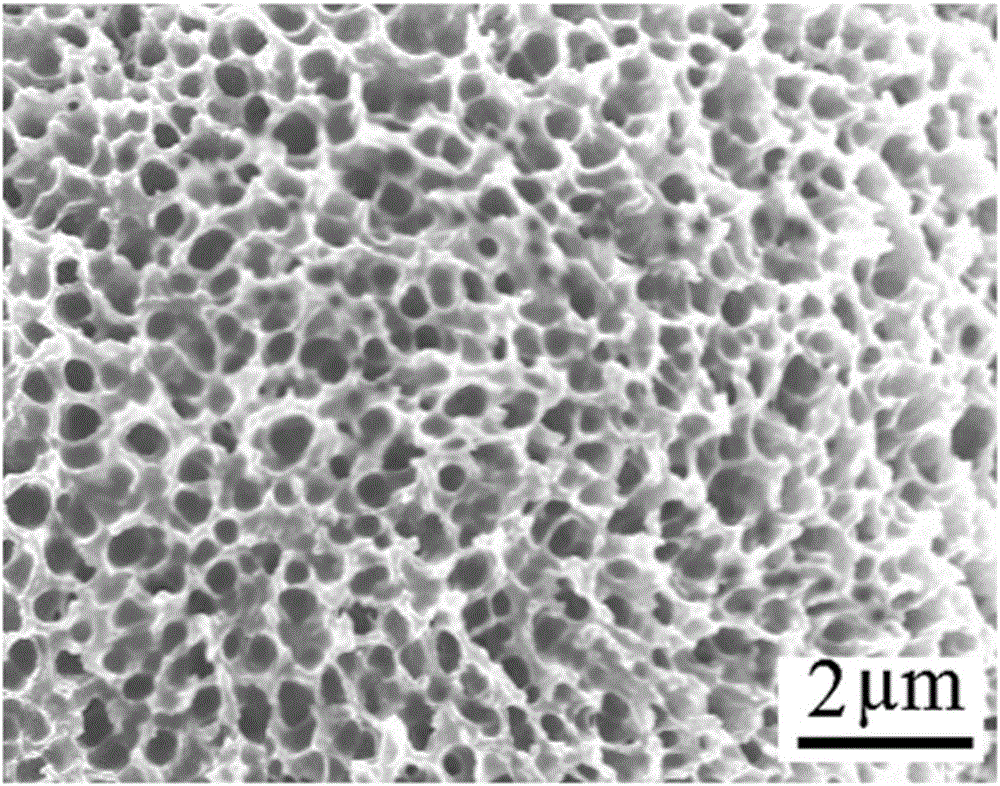 Porous polymer material and preparation method thereof