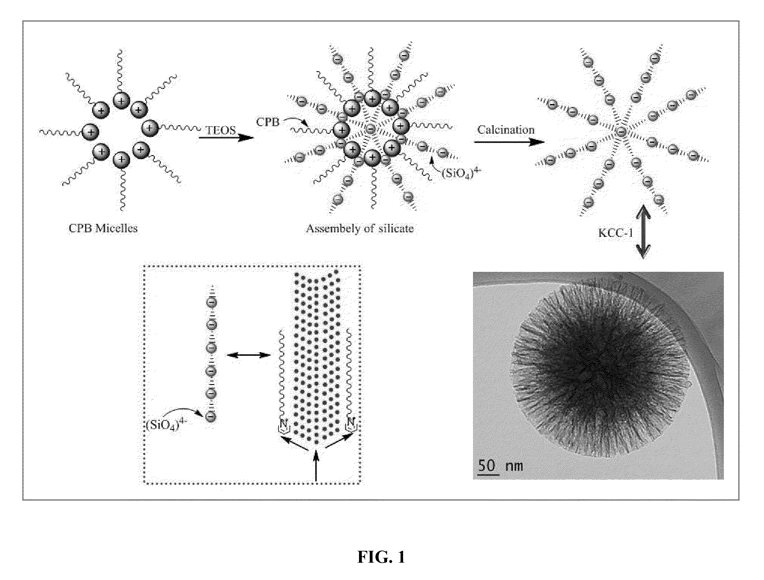 High Surface Area Fibrous Silica Nanoparticles