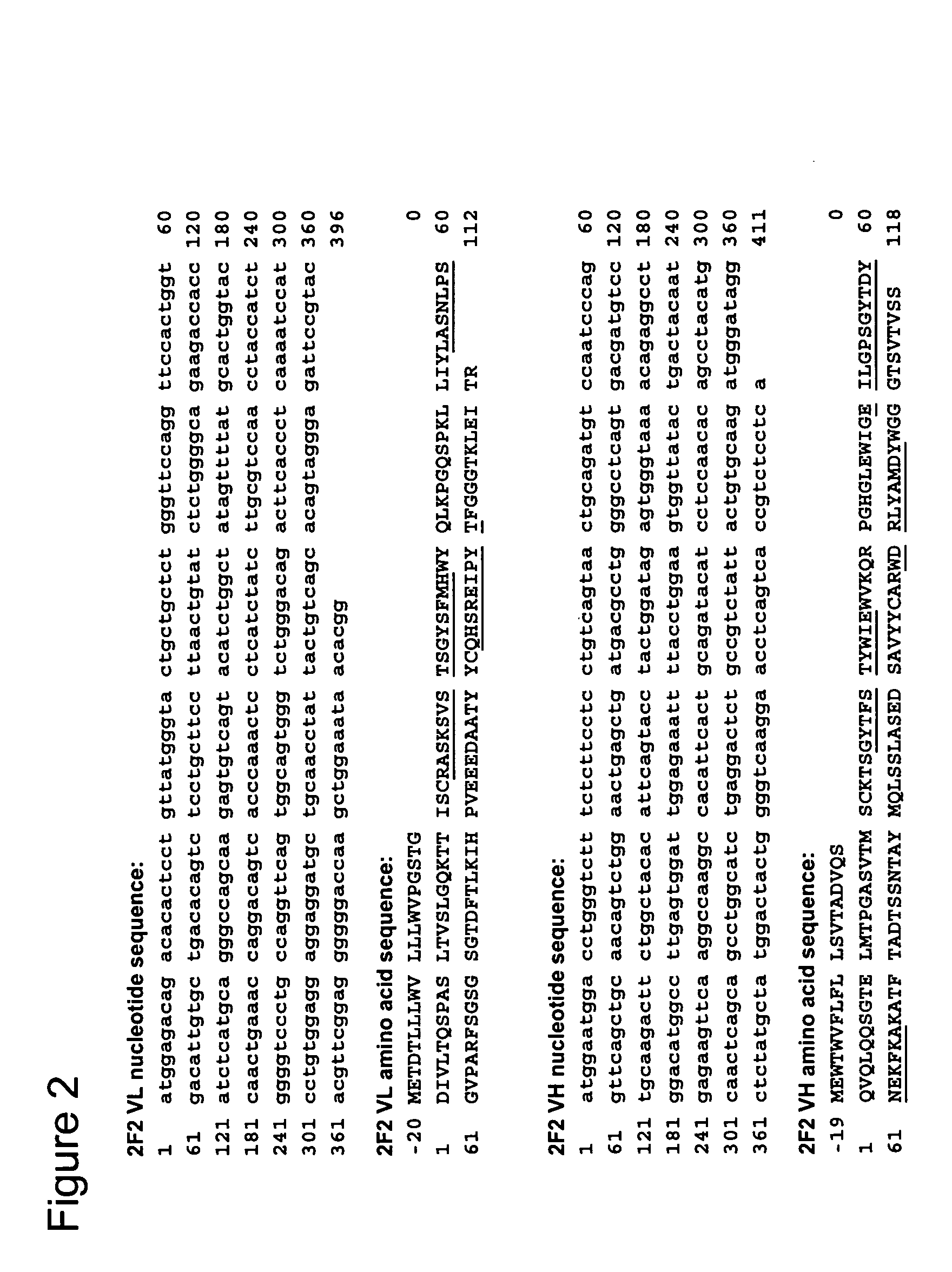 Anti-CD70 antibody and its use for the treatment and prevention of cancer and immune disorders