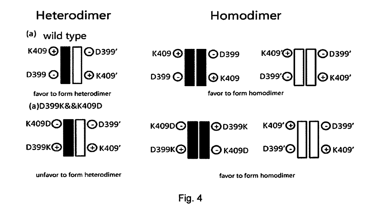 Method for preparing homodimer protein mixture by using charge repulsion effect