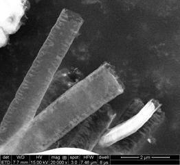 A kind of preparation method and obtained product of iron ion-doped carbon nitride nanotube