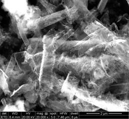 A kind of preparation method and obtained product of iron ion-doped carbon nitride nanotube