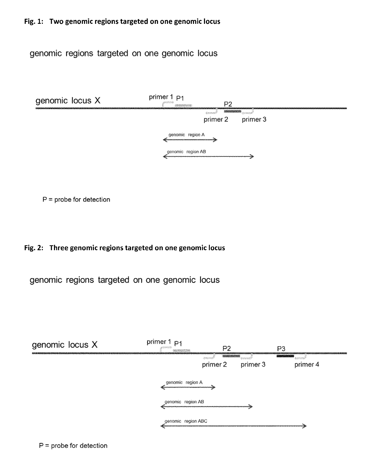 Method for determining nucleic acid degradation in a sample in which at least two overlapping amplicons are produced and two probes are used in the method