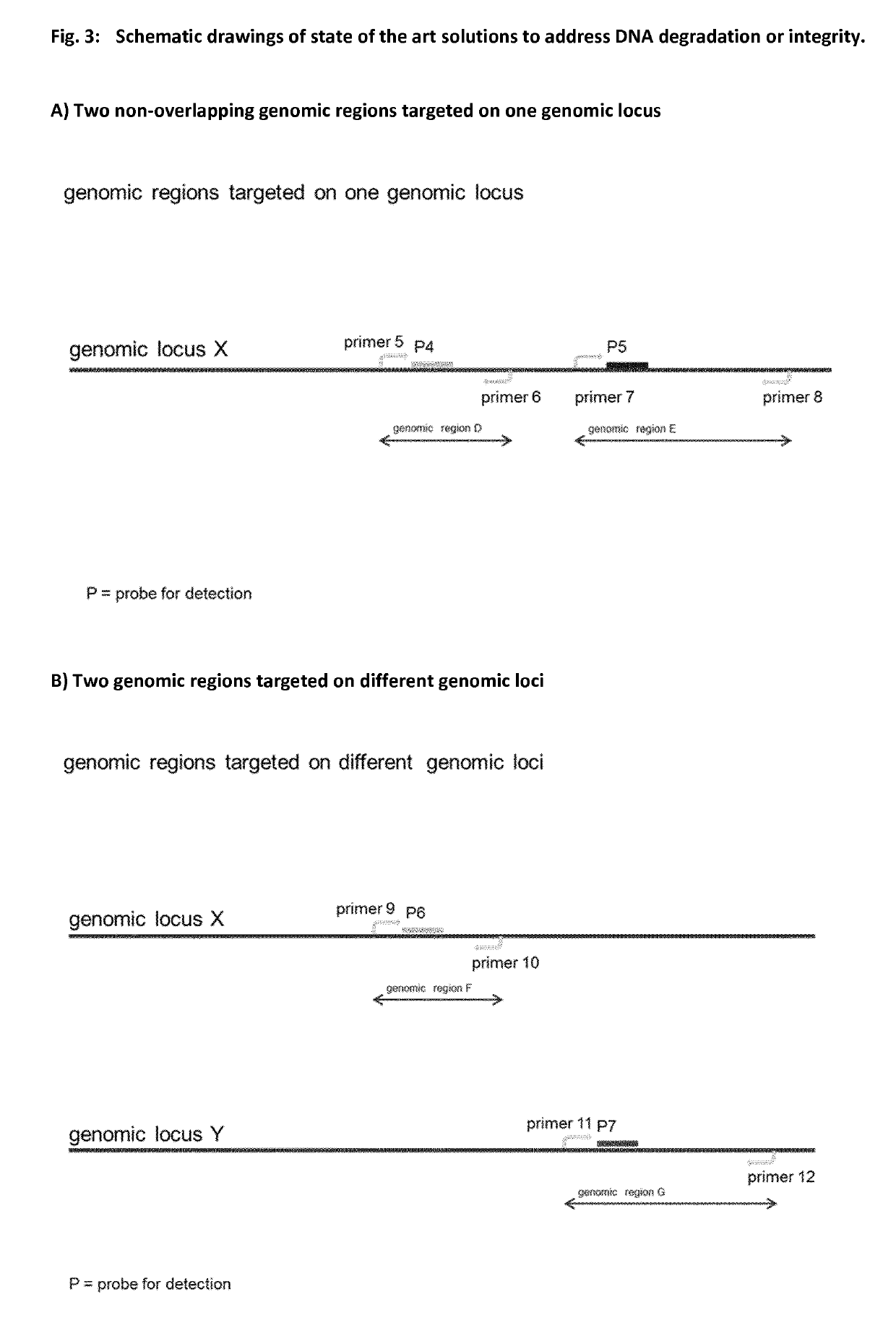 Method for determining nucleic acid degradation in a sample in which at least two overlapping amplicons are produced and two probes are used in the method