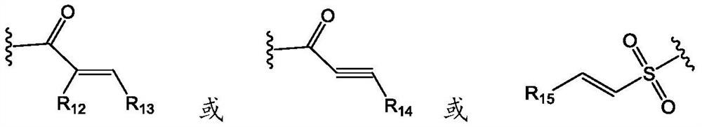 Pyridopyrimidine KRAS G12C mutant protein inhibitor