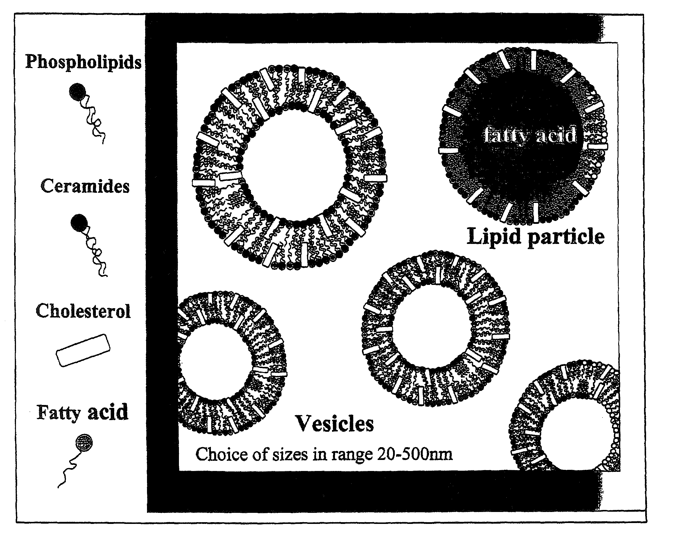 Water-based delivery systems