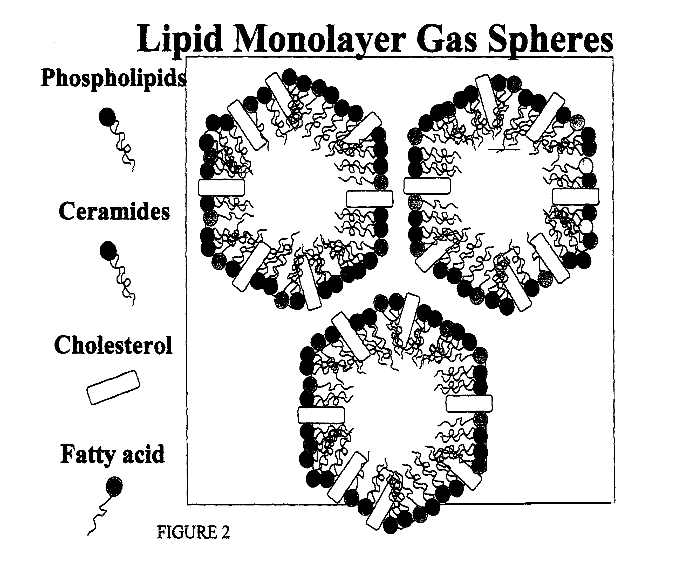 Water-based delivery systems