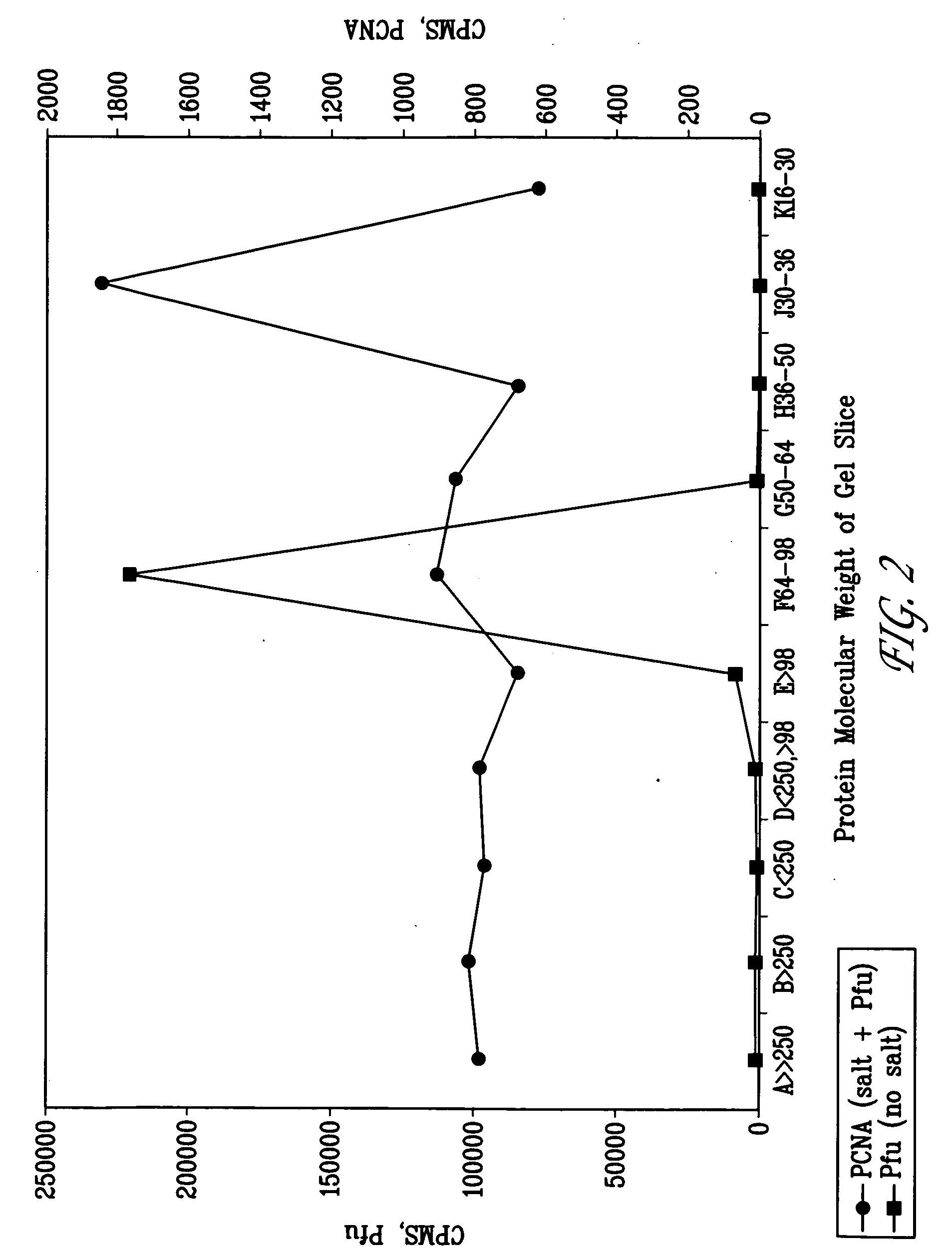 Pfu replication accessory factors and methods of use