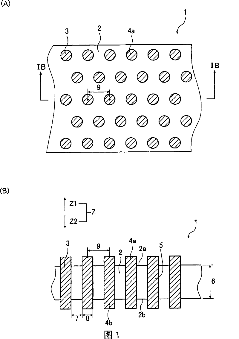 Anisotropically conductive member and method of manufacturing the same