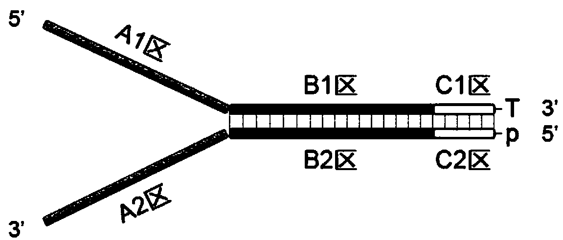 Detecting method of low-frequency DNA (Deoxyribonucleic Acid) mutation