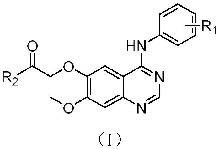 Quinazoline derivatives and their application as antitumor drugs