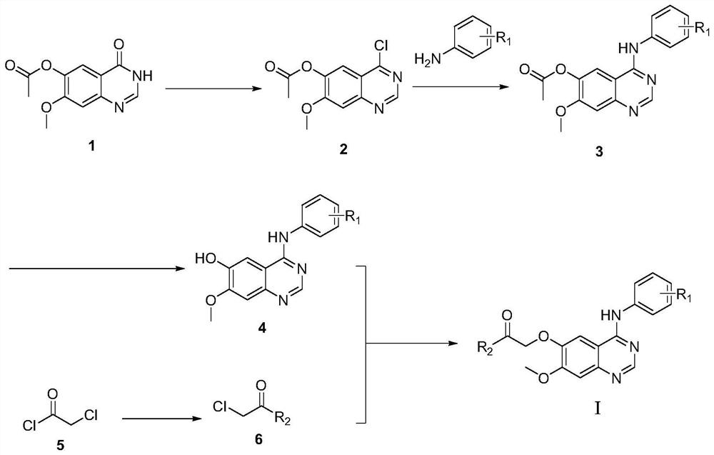 Quinazoline derivatives and their application as antitumor drugs