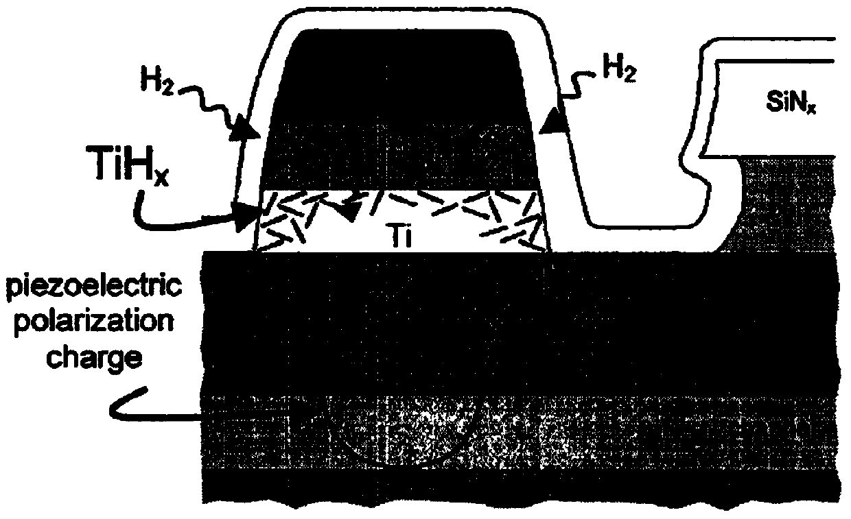 Method and device for estimating capability of resisting 'hydrogen poisoning'