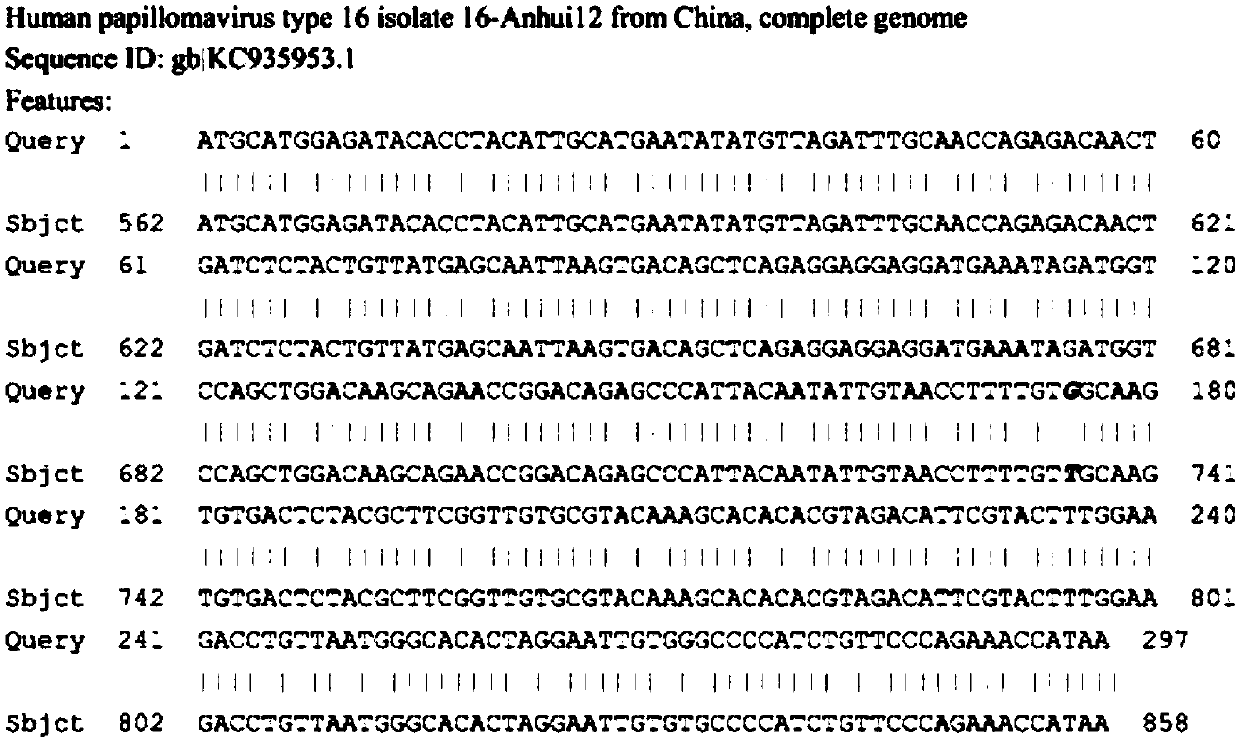 Recombinant adeno-associated virus vector carrying human papillomavirus type 16 multi-point mutant e7mm antigen gene and its construction method and application
