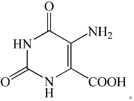 A 5-aminoorotic acid dinuclear cadmium complex