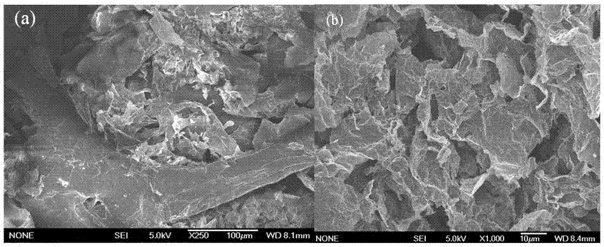 Reduced graphene oxide-polyurethane dual-sponge adsorption film, preparation method therefor and application of reduced graphene oxide-polyurethane dual-sponge adsorption film