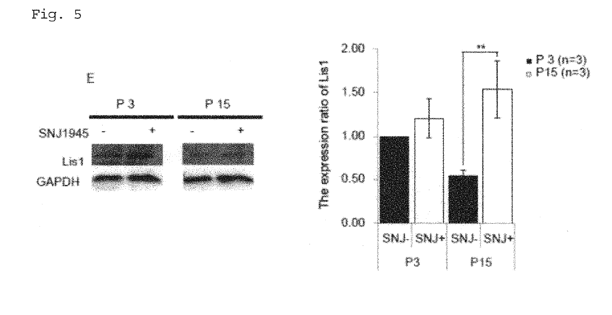 Composition for treatment and/or prevention of peripheral nerve disorder