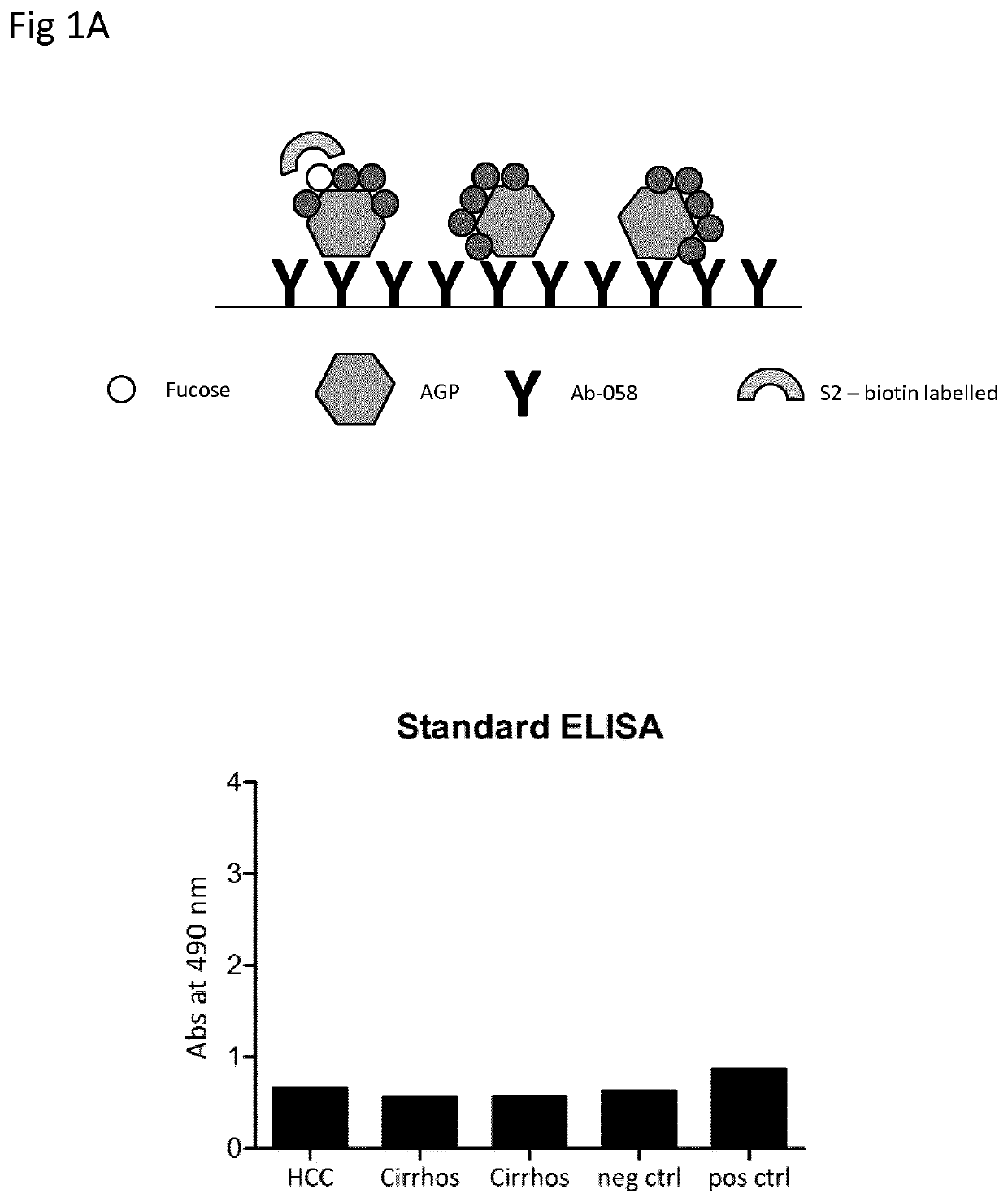 Diagnostic Test for Hepatocellular Carcinoma