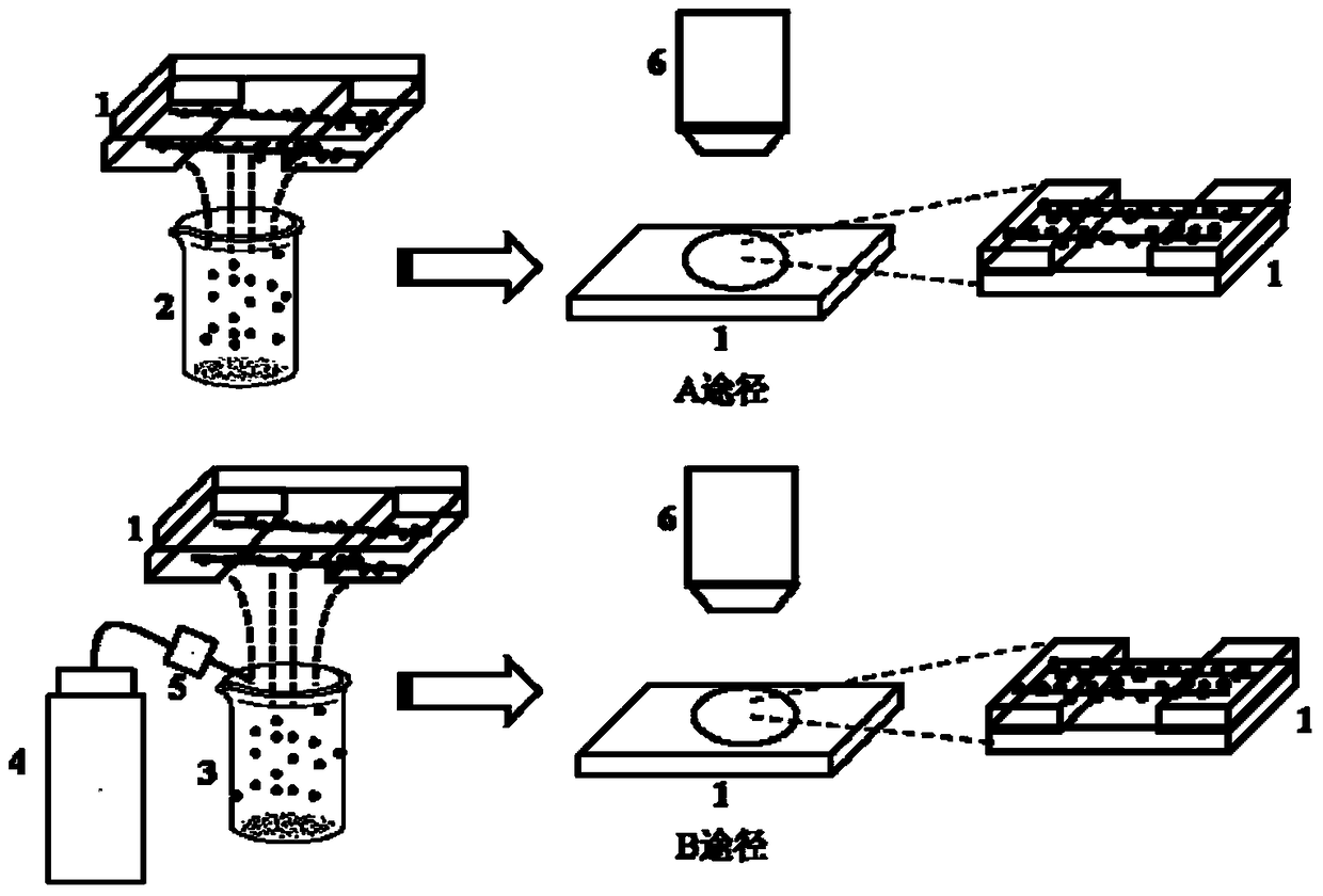 A method for optical visualization of low-dimensional nanomaterials