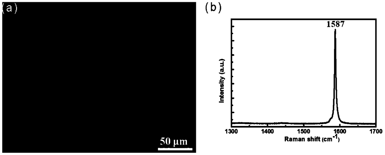 A method for optical visualization of low-dimensional nanomaterials